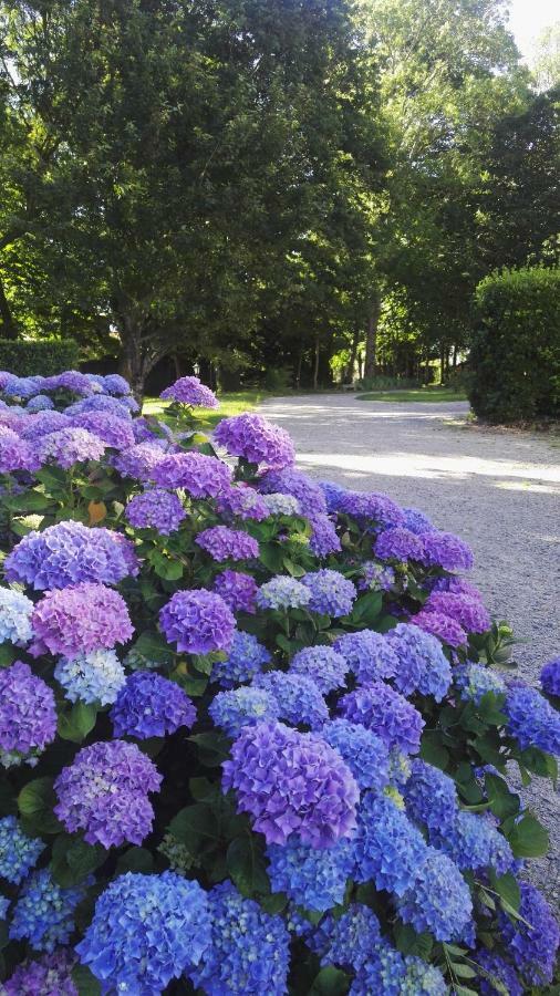 Domaine Du Plessis Grimaud Bed & Breakfast Saint-Viaud Eksteriør bilde